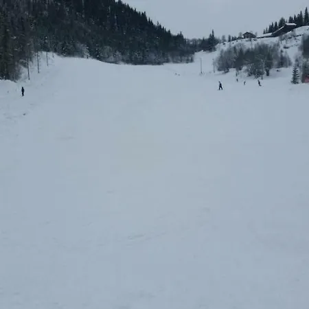 I Leilighet Amotsdal