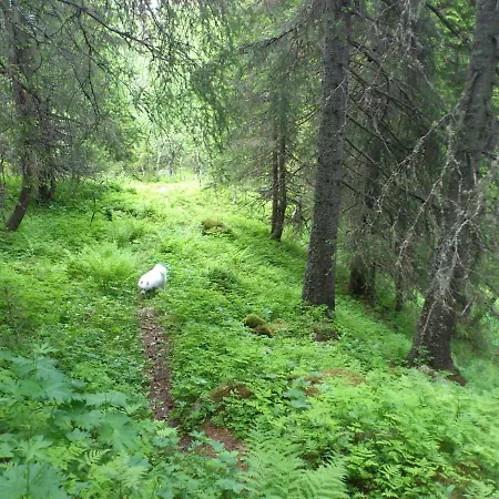 Lägenhet I Amotsdal