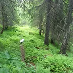 Leilighet I Amotsdal